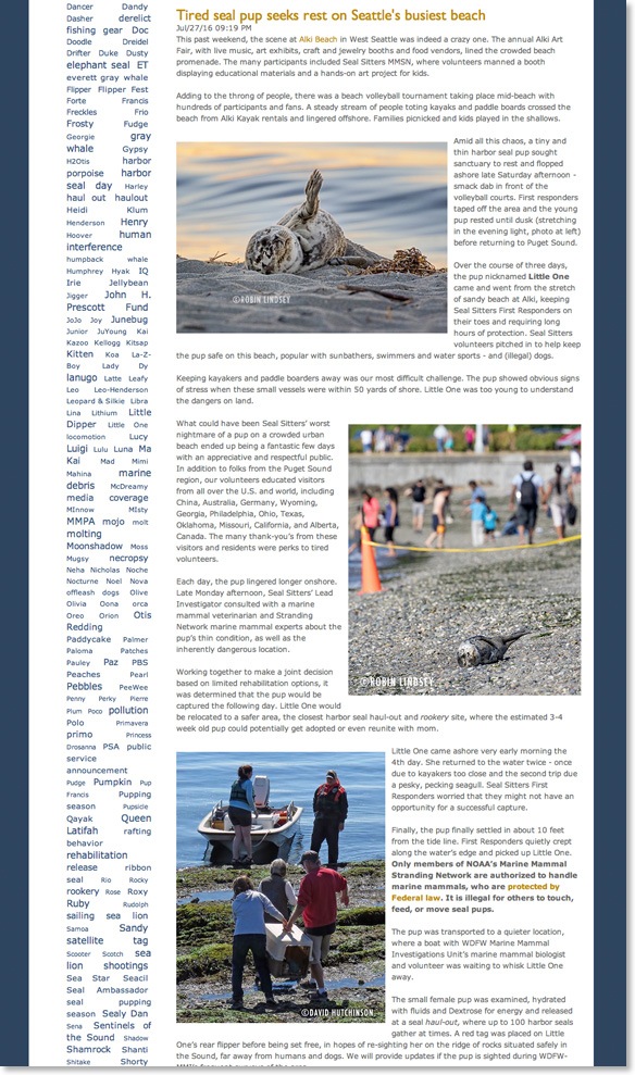 blubberblog composite for ss site
